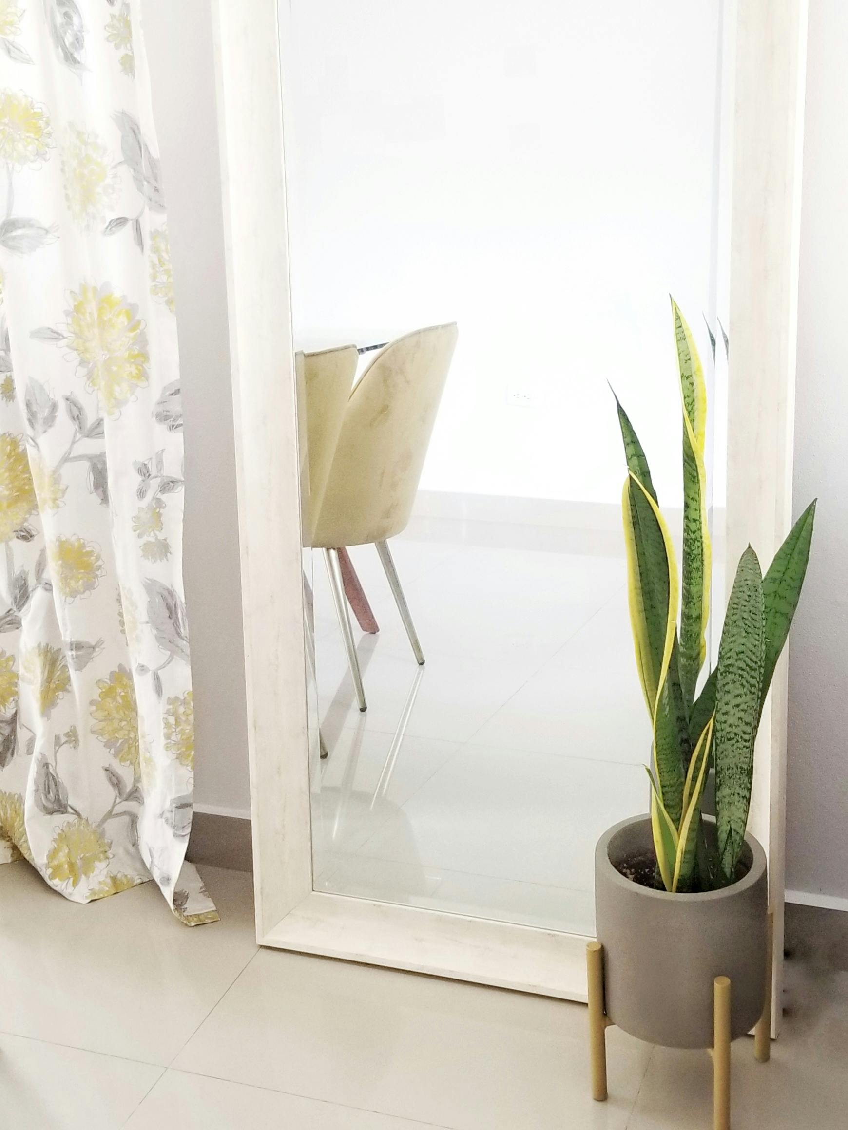 Stylish home interior featuring a mirror, snake plant, and floral curtains for a refreshing look.