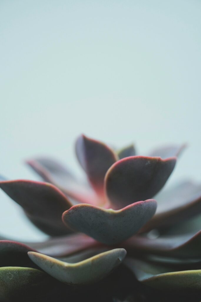 feey-lGjFrhdPpKg-unsplash