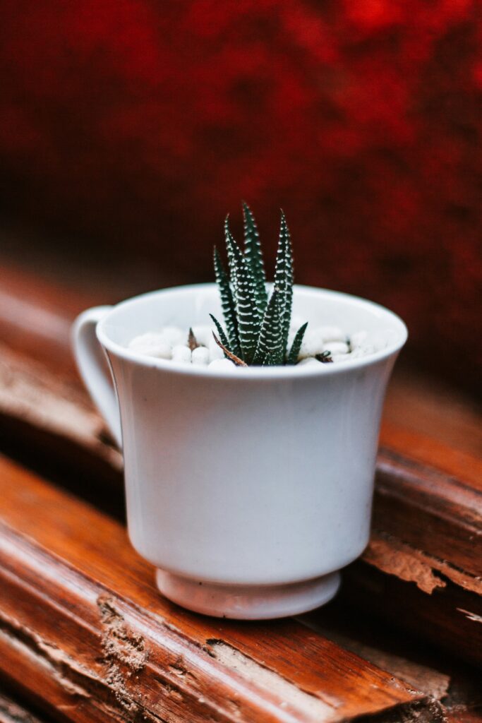 lance-lozano-SpvGrTU84oU-unsplash