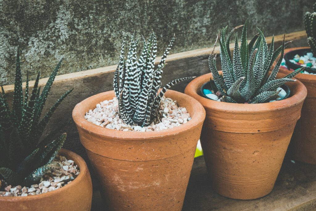noom-peerapong-LTCoPkg88ks-unsplash