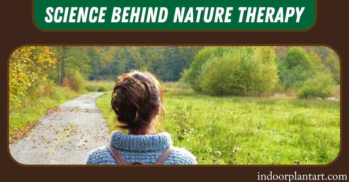 Science Behind Nature Therapy