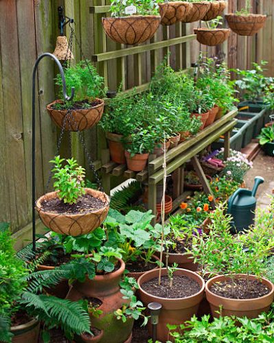 home and garden